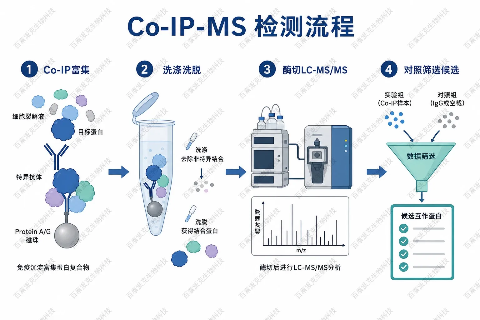 Co-IP-MS检测流程示意图 Co-IP-MS检测流程示意图