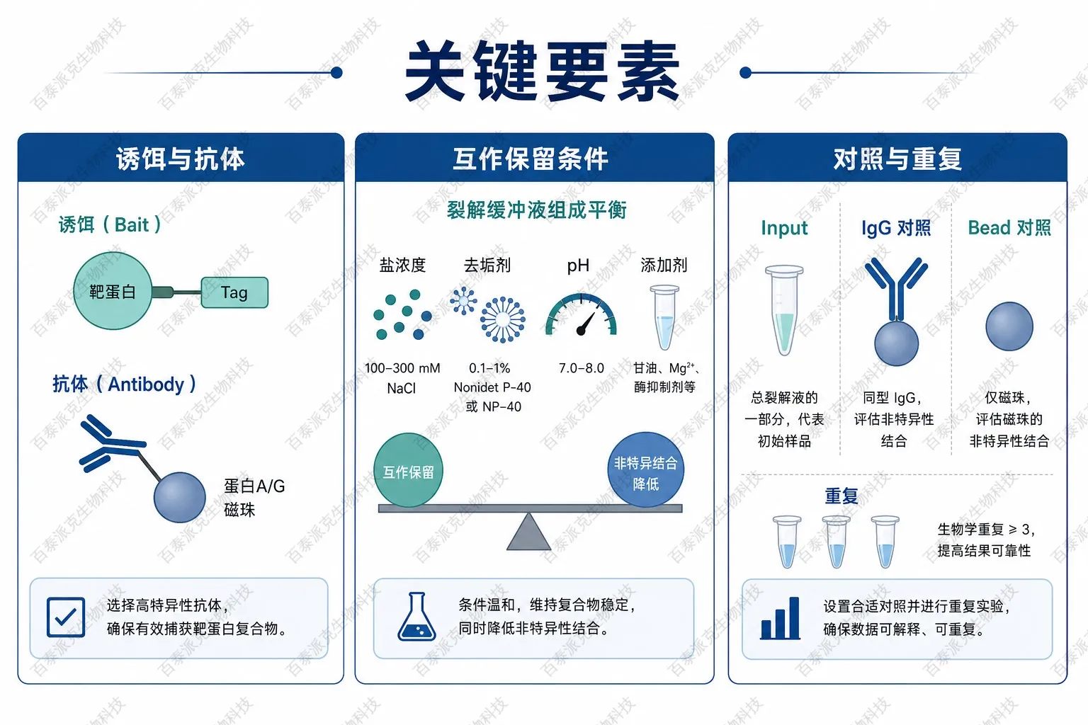 Co-IP-MS关键要素示意图 Co-IP-MS关键要素示意图
