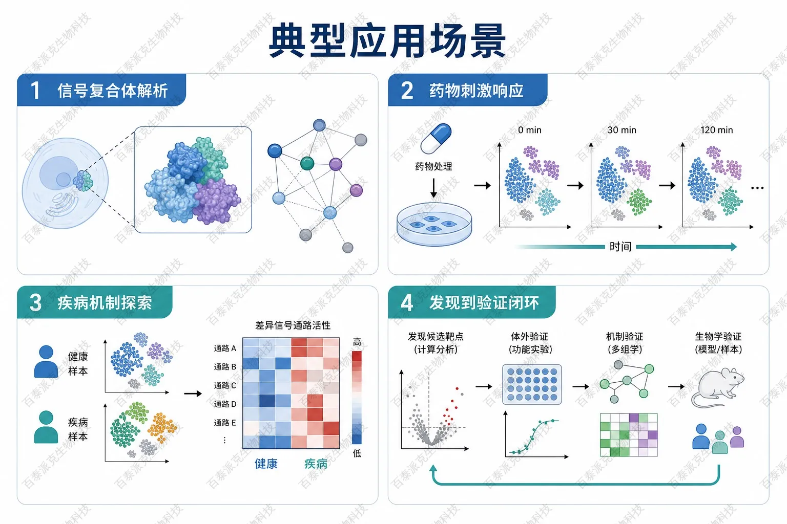 蛋白互作质谱IP-MS应用场景示意图 蛋白互作质谱IP-MS应用场景示意图