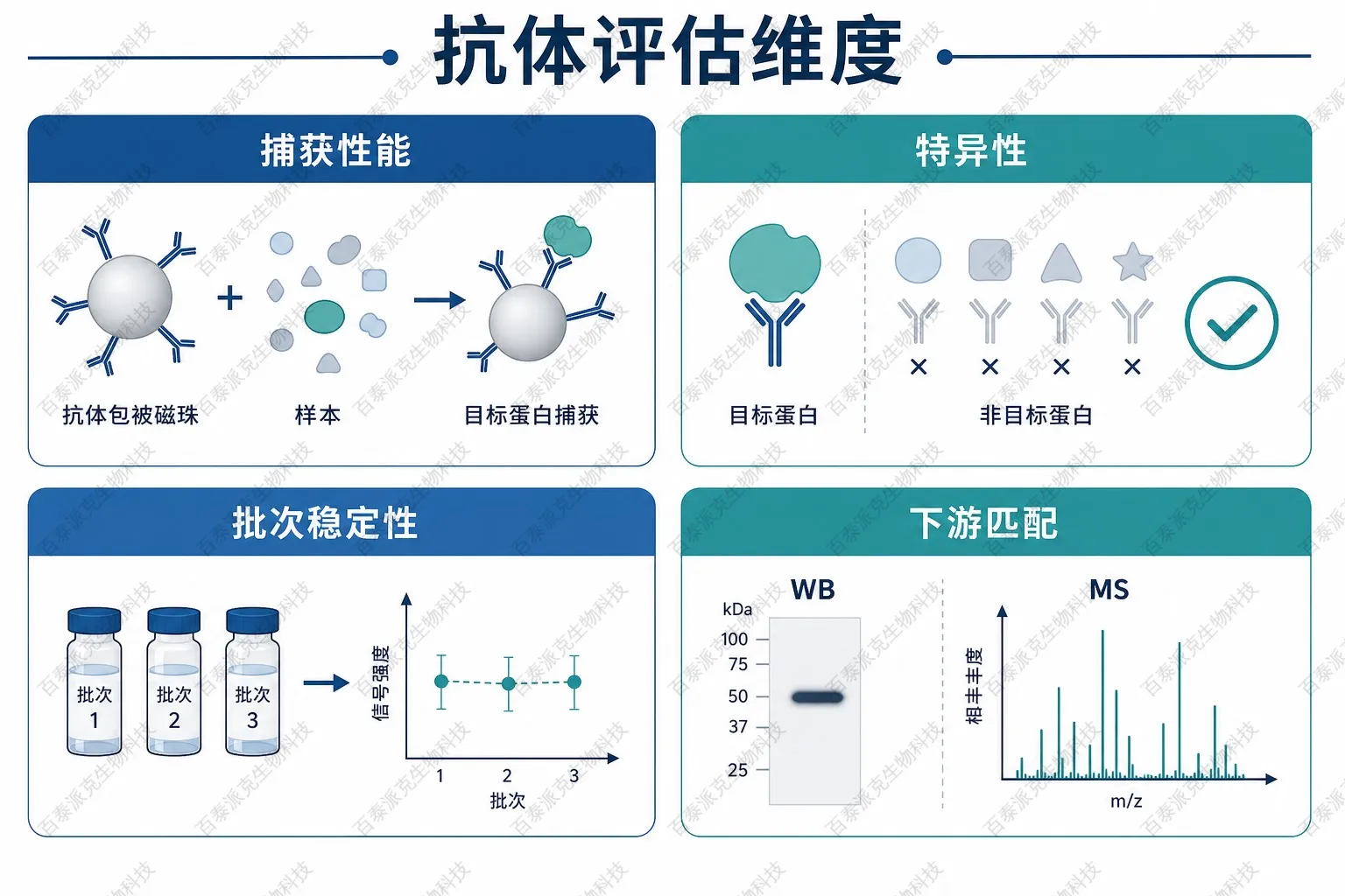 抗体关键评估维度示意图 抗体关键评估维度示意图