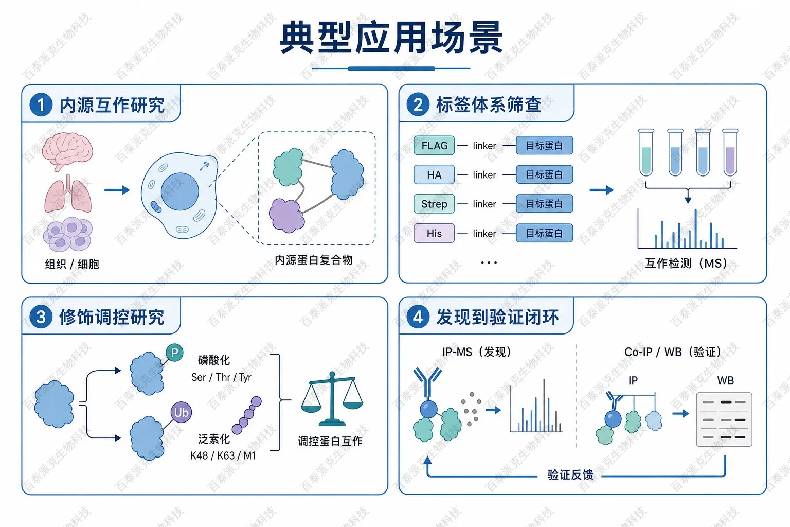 抗体典型应用场景示意图 抗体典型应用场景示意图