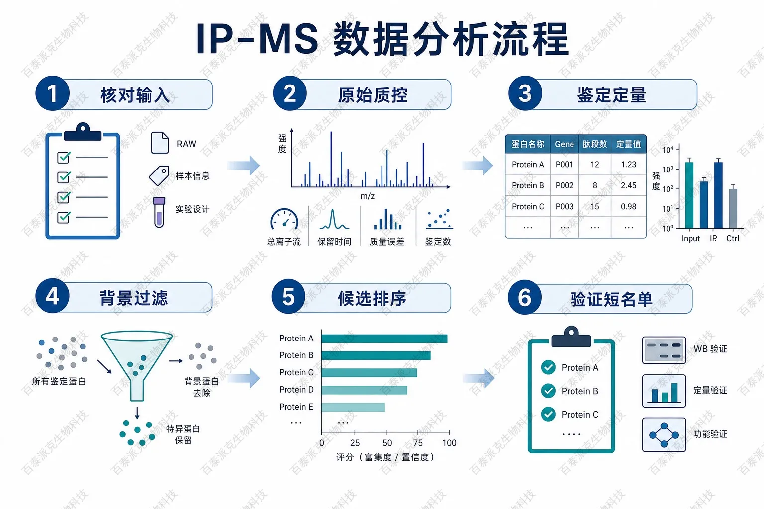 IP-MS数据分析分步流程示意图 IP-MS数据分析分步流程示意图