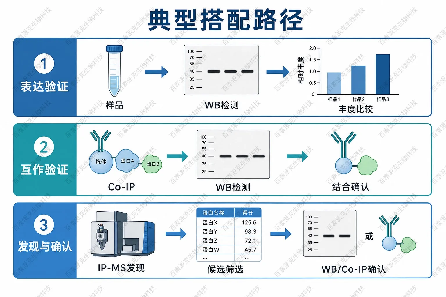 IP与WB典型搭配路径示意图 IP与WB典型搭配路径示意图