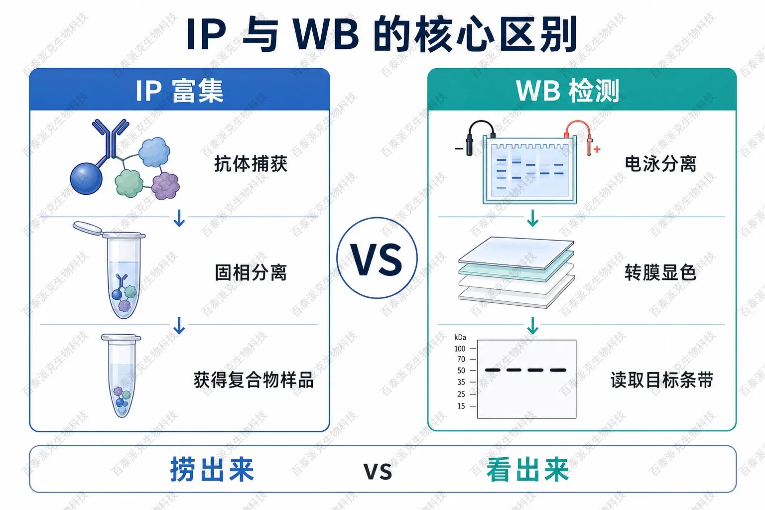 IP与WB核心区别示意图 IP与WB核心区别示意图