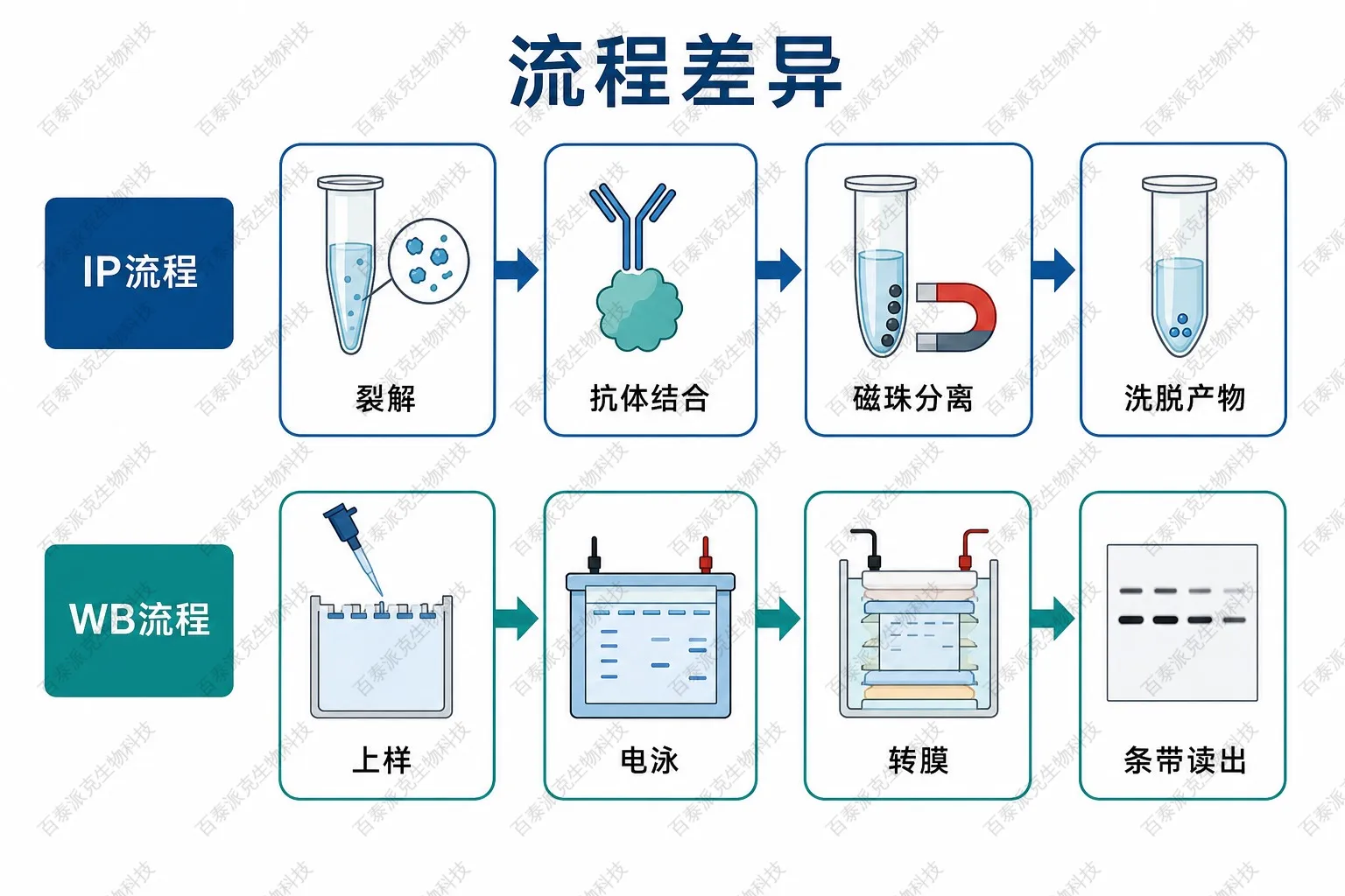 IP与WB流程差异示意图 IP与WB流程差异示意图