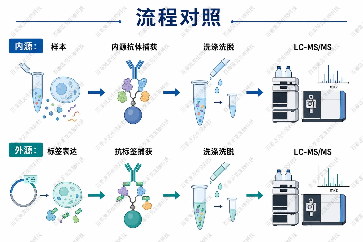 内源与外源IP-MS流程对照示意图 内源与外源IP-MS流程对照示意图