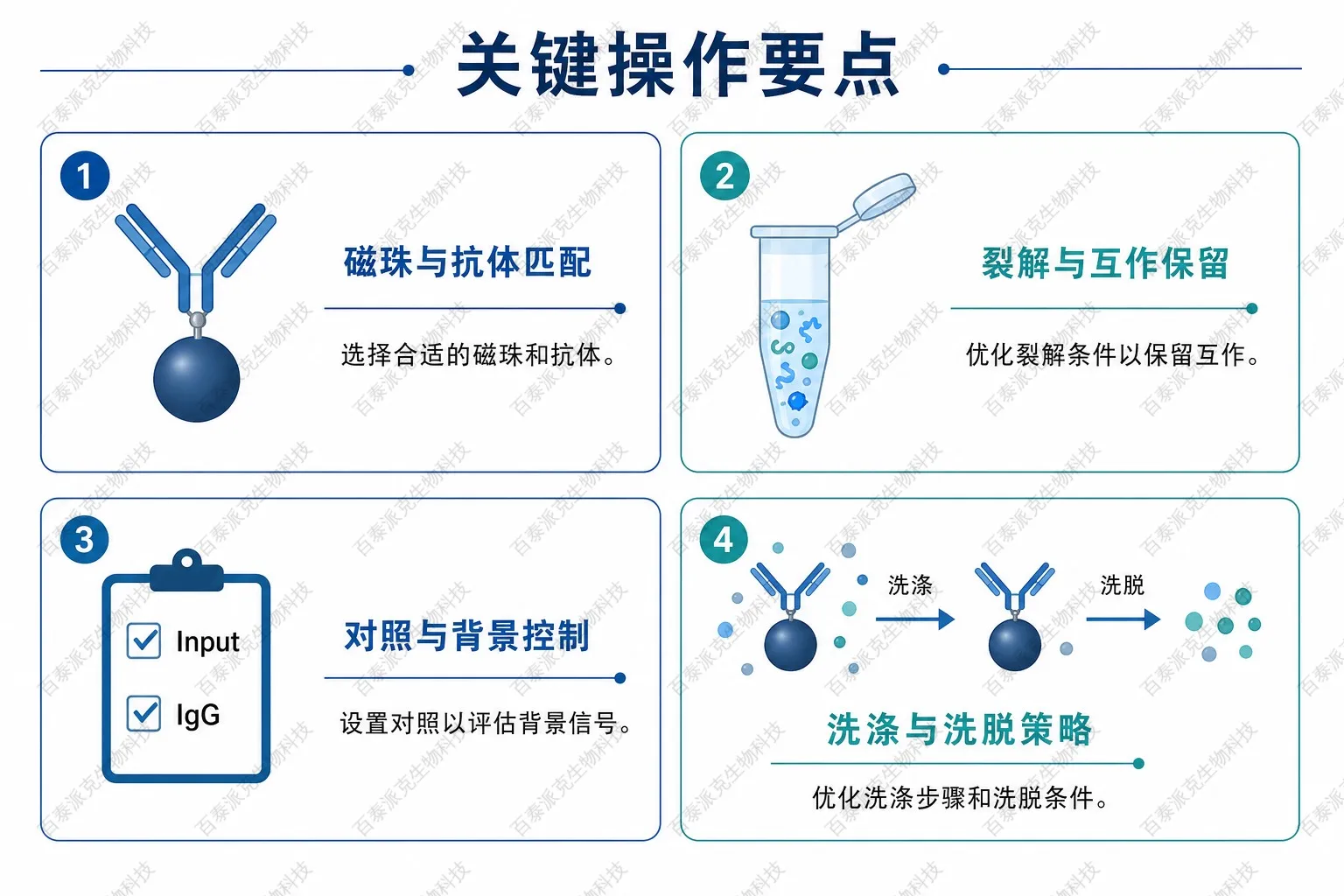 磁珠IP关键操作要点示意图 磁珠IP关键操作要点示意图