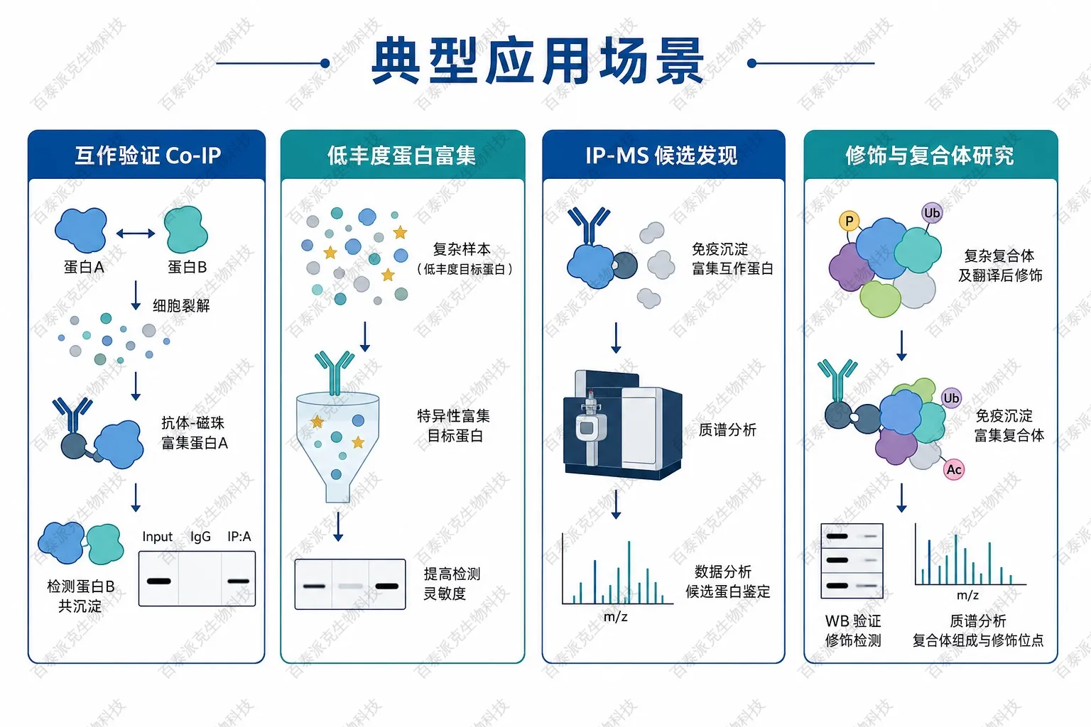 磁珠IP典型应用场景示意图 磁珠IP典型应用场景示意图