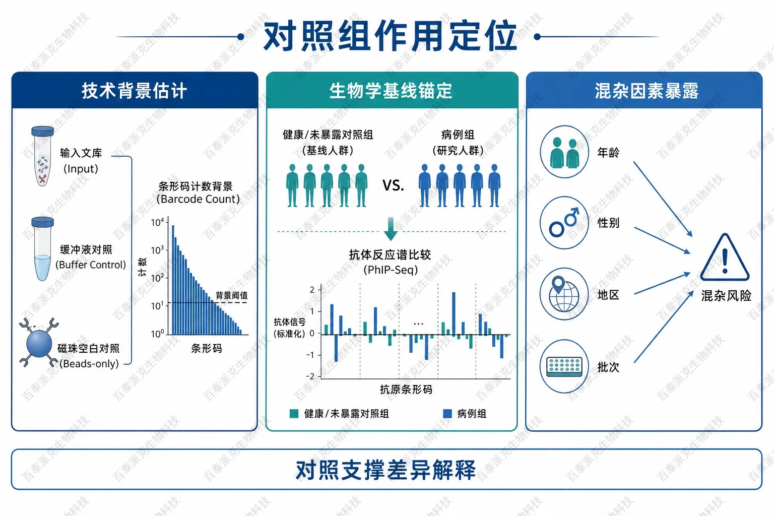对照组作用定位示意图 对照组作用定位示意图