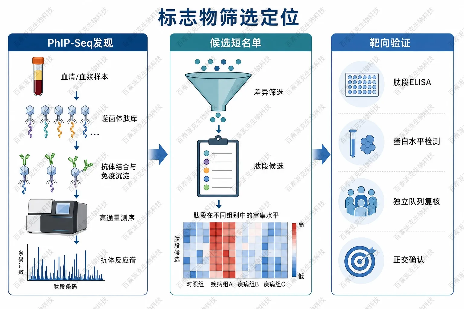标志物筛选定位示意图