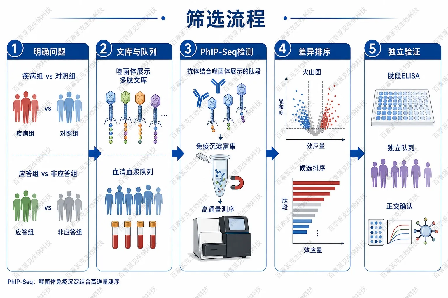 免疫标志物筛选流程示意图