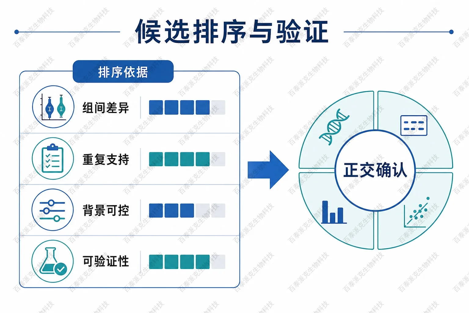 免疫标志物候选排序与验证示意图