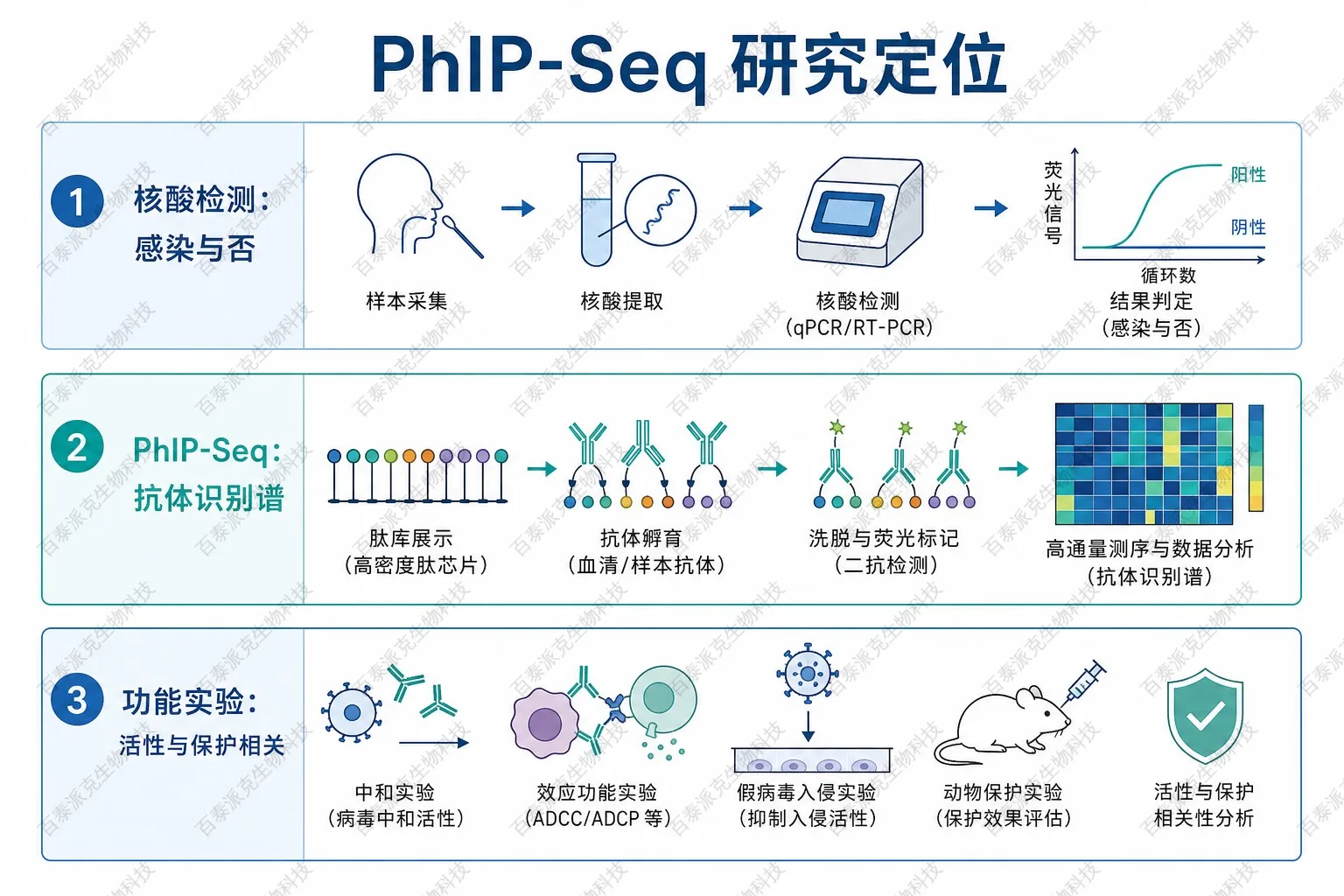 PhIP-Seq在传染病免疫研究中的定位示意图 PhIP-Seq在传染病免疫研究中的定位示意图