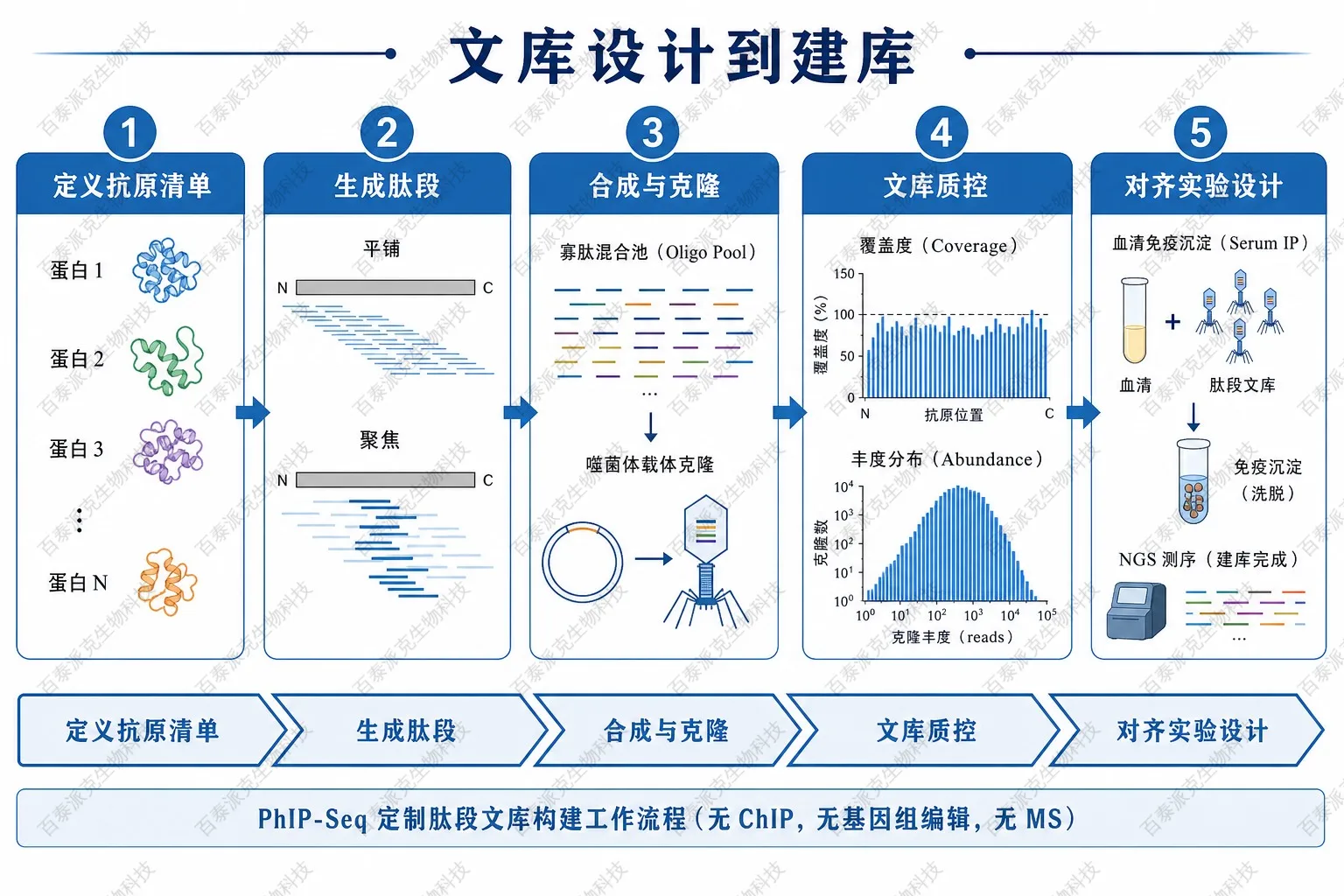 多肽文库设计到建库流程示意图 多肽文库设计到建库流程示意图