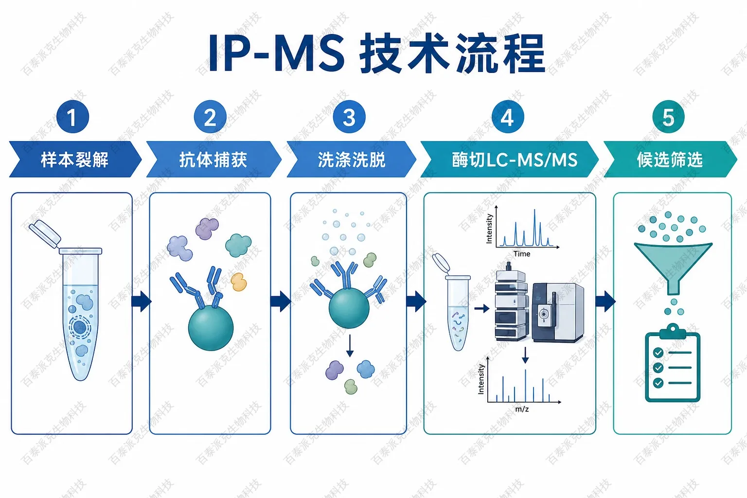 IP-MS技术流程示意图 IP-MS技术流程示意图