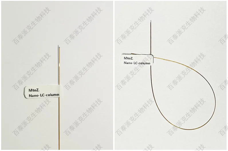 nano-lc-ms-columns-c18-75&micro;m-15cm