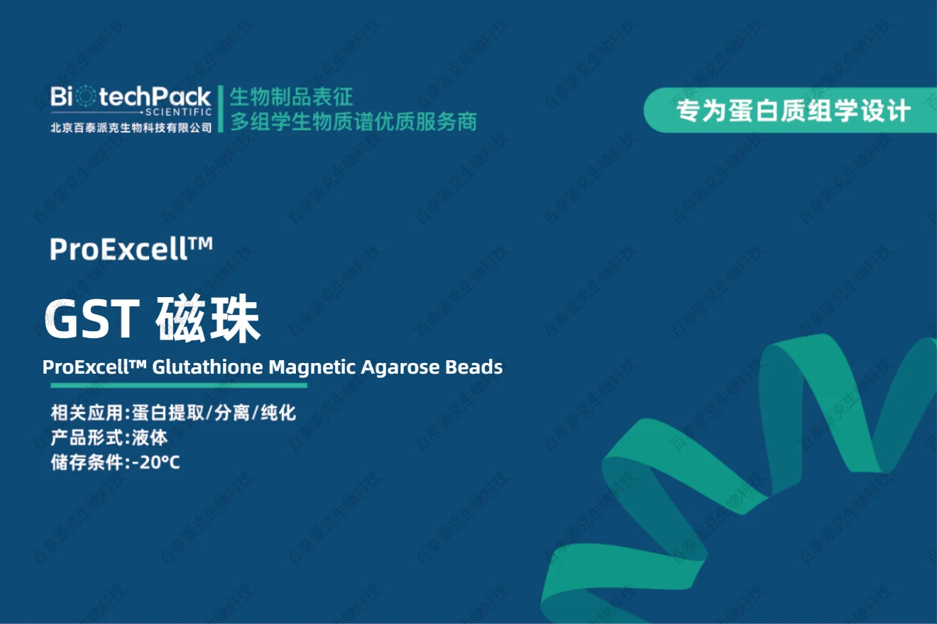 glutathione magnetic agarose High Capacity Beads (1:1 suspension in a 30% ethanol solution) Glutathione Magnetic Agarose Beads consist of a paramagnetic 4% beaded agarose Zn2+-mediated siRNA-doxorubicin self-assembled nanoparticles amplify