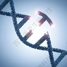 20221219-0117-jd752.png