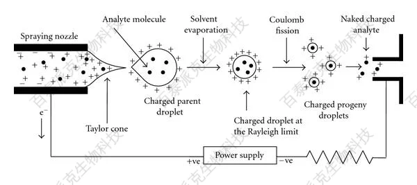20221219-0286-电喷雾电离过程.png