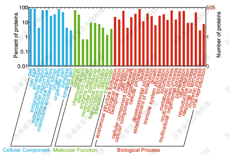 20221219-0297-差异表达蛋白的GO二级注释.png