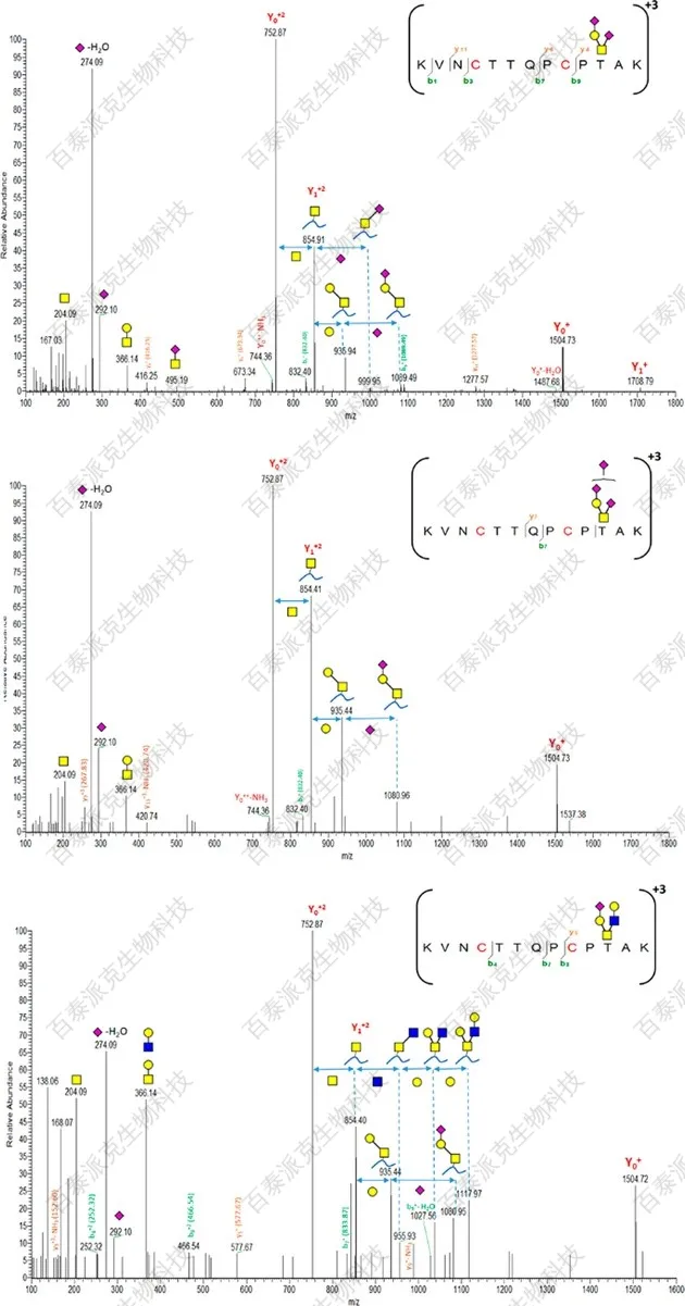 20221219-0314-糖基化位点及糖型分析.jpg