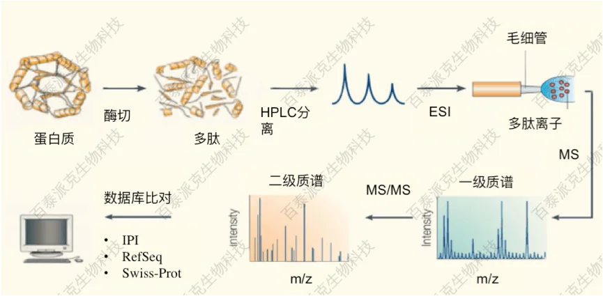 20221219-0358-ESI-MS分析.png