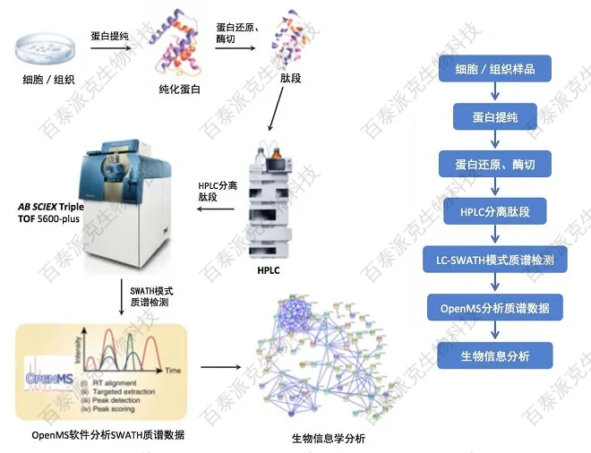 20221219-0540-DIA定量蛋白质组学.png