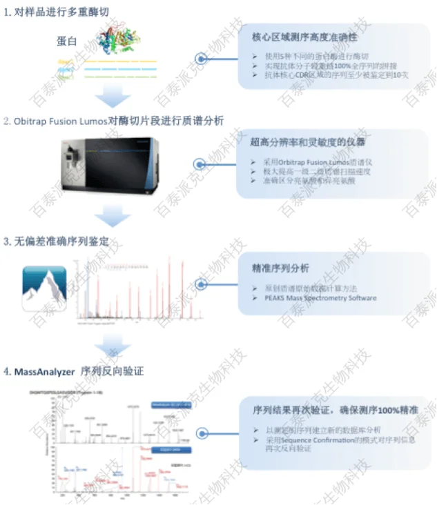20221219-0542-蛋白质从头测序分析流程.png