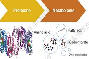 20221219-0620-蛋白组学和代谢组学.png