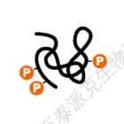 20221219-0695-蛋白质磷酸化水平检测.png