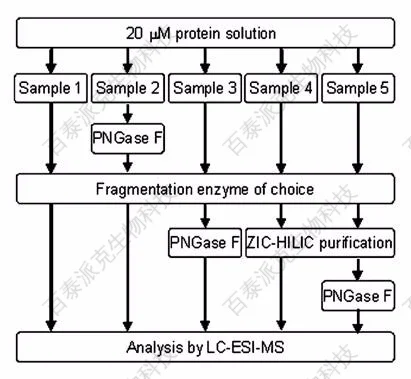 20221219-0899-基于LC-MS的N-糖基化位点附着一般分析流程.png