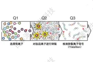 20221219-0925-靶向蛋白质组学.png