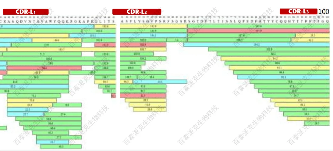 20221219-1109-单克隆抗体从头测序2.png