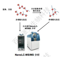 20221219-1158-磷酸化定量蛋白质组学.png