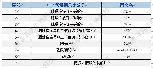 BTP可检测ATP代谢相关小分子