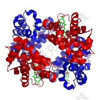 20221219-1375-检测细胞内蛋白质表达的研究方法.png