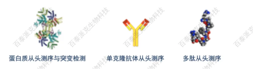 20221219-1392-从头测序分析服务项目.png