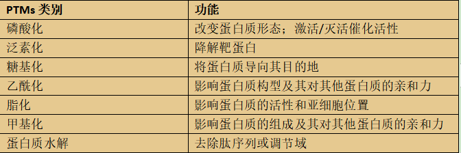 20221219-1435-PTMs的常见功能.png