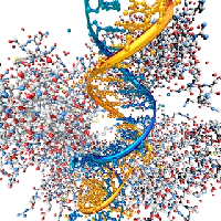 20221219-1867-比较蛋白质组学和定向蛋白质组学优势.png