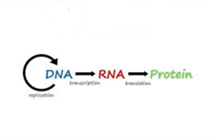 蛋白组与转录组联合分析