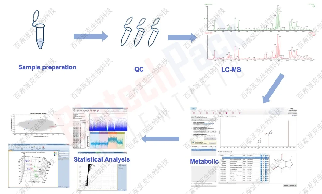 血清代谢组流程图