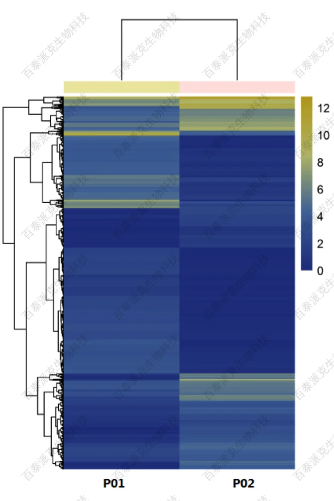 20221219-2133-差异表达蛋白层次聚类图.png