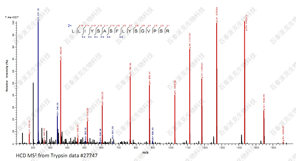 20221219-2834-image-单克隆抗体从头测序3.png