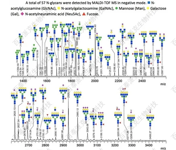 20221219-2978-蛋白质糖型分析.jpg