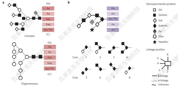 20221219-3053-HILIC-UHPLC%E5%88%86%E6%9E%90N-%E8%81%9A%E7%B3%96%E9%94%AE.png