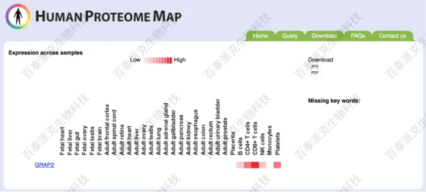 20221219-3309-HumanProteomeMap网站示意图.png