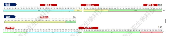 20221219-3332-单克隆抗体从头测序4.png