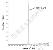 20221219-4163-分子量测定.png