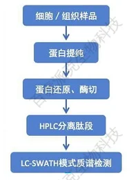 20221219-4377-DIA蛋白质组学样品处理步骤.png