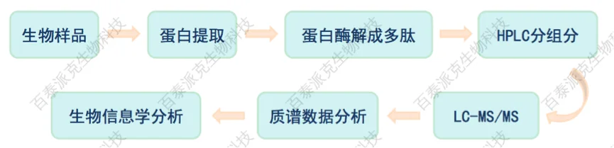 20221219-4582-Label-free分析流程示意图.png